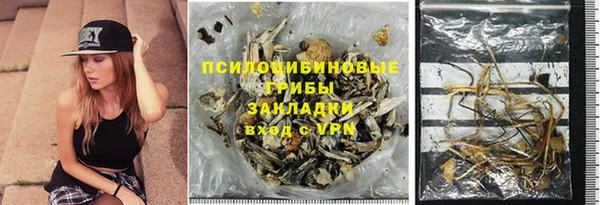 ПСИЛОЦИБИНОВЫЕ ГРИБЫ Нягань