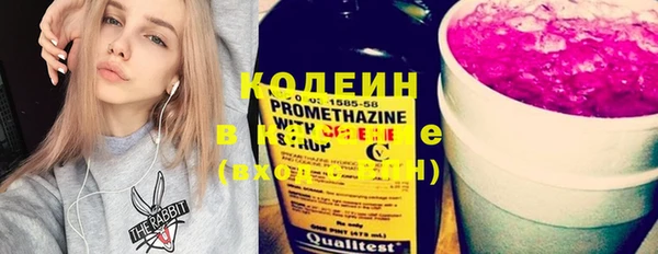 индика Новозыбков