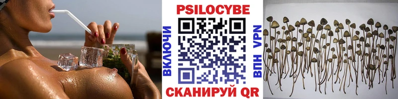 Галлюциногенные грибы мухоморы  OMG ONION  Чусовой  где купить наркоту 
