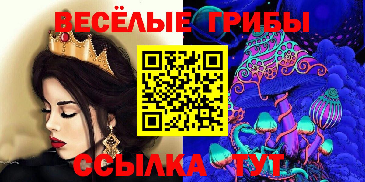 Галлюциногенные грибы Psilocybine cubensis Чусовой