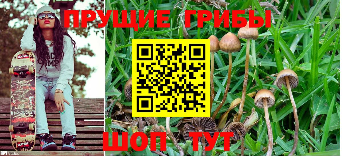 Галлюциногенные грибы мухоморы  Вход с VPN  Чусовой 